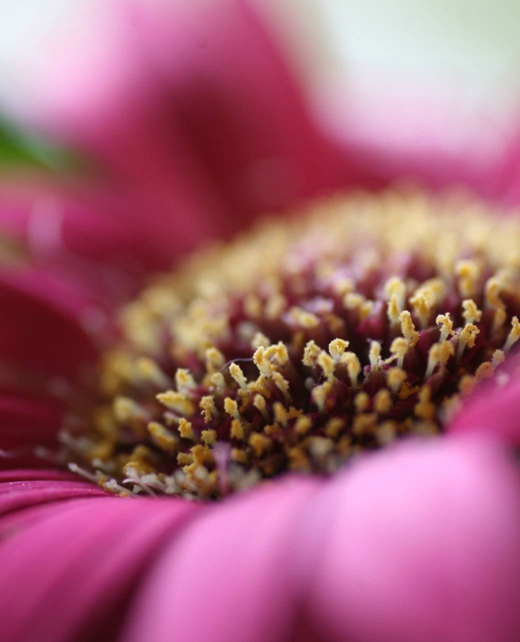 journaling-1-blessed-makers-retreat